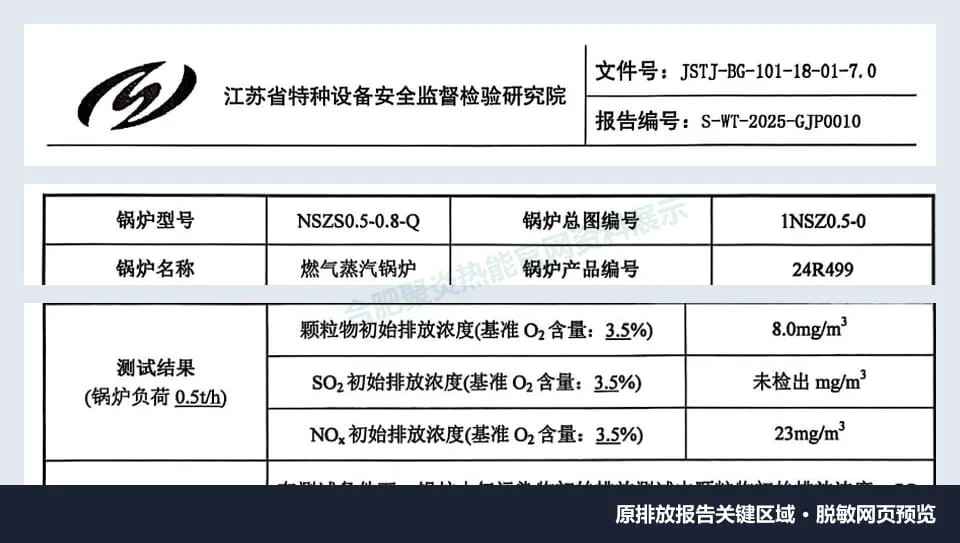 检测机构、NSZS0.5-0.8-Q型号、24R499编号及大气污染物结果脱敏预览