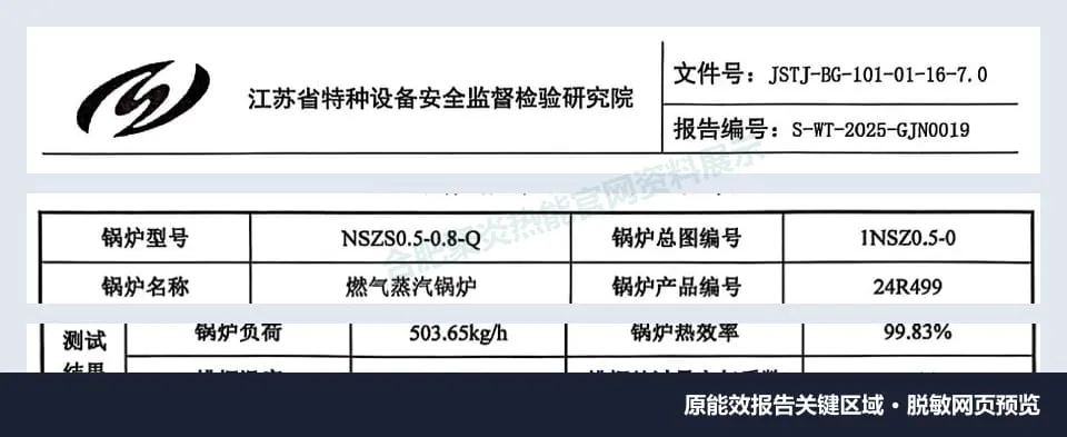 检测机构、NSZS0.5-0.8-Q型号、24R499编号、测试负荷与能效结果脱敏预览